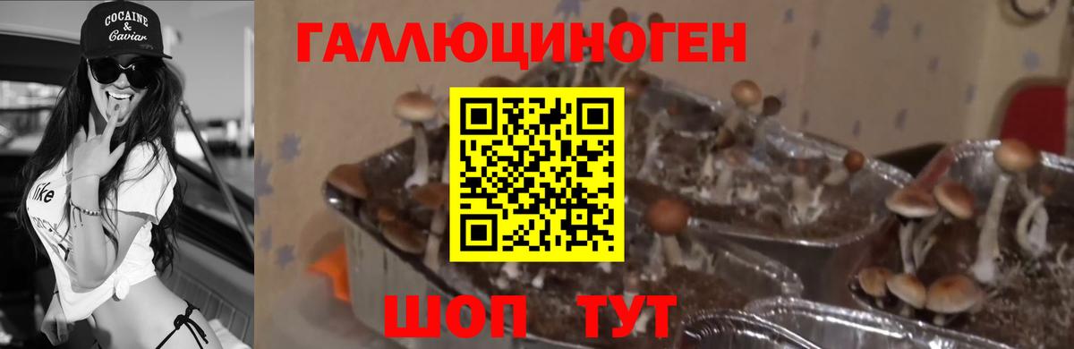 Миллерово  где продают наркотики  Вход с VPN  Псилоцибиновые грибы ЛСД  Галлюциногенные грибы мицелий 